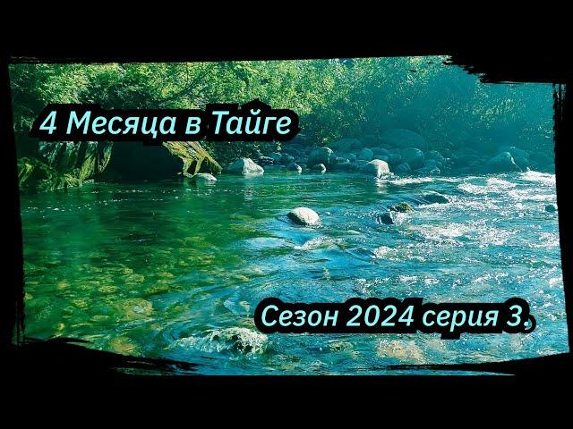 4 Месяца в Тайге. 1-я ночевка, Работа, Старатели, Сезон 2024 серия 3.