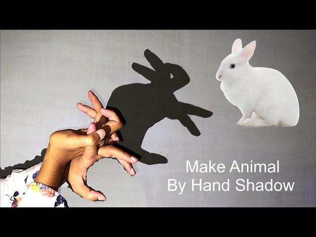 How to Make a Rabbit with Your Hand Shadow