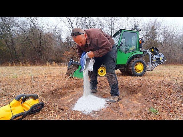 How to Remove a Tree Stump Naturally
