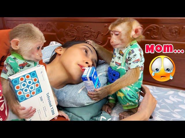 Monkeys PiPi and TiTi stand by and take care of Mom when she is sick