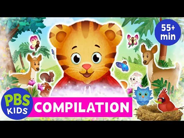 Daniel Tiger's Neighborhood | Daniel's Nature Adventures Compilation | PBS KIDS