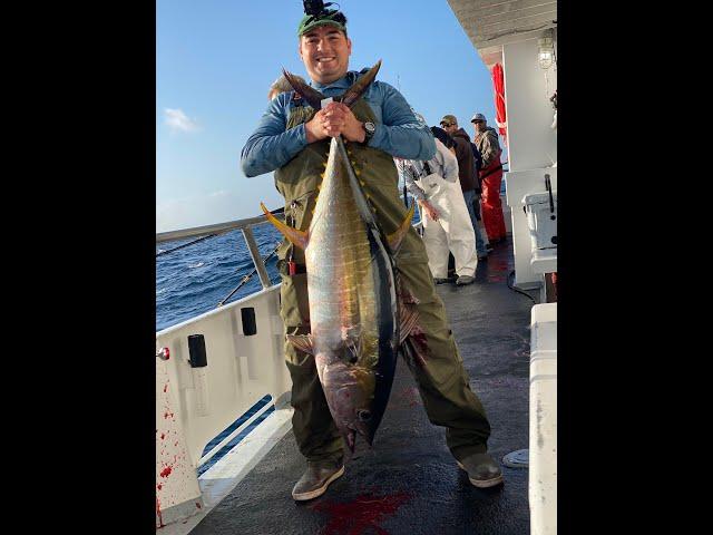 Yellow Fin Tuna Fishing - Offshore tuna fishing NJ