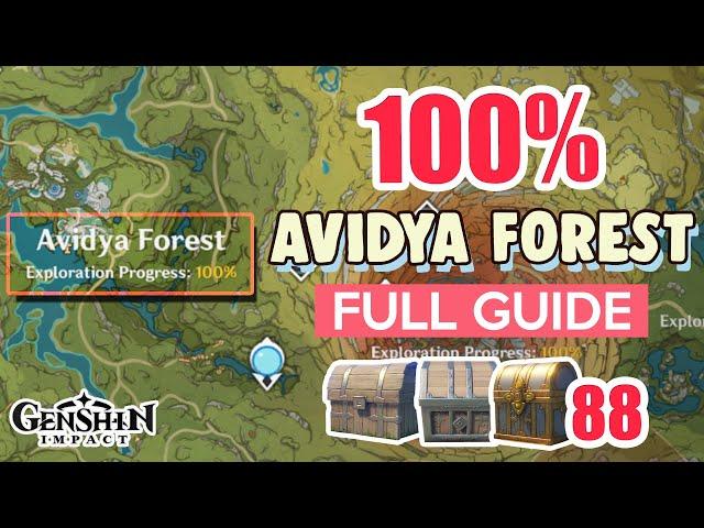 How to: Avidya Forest 100% FULL Exploration ⭐ SUMERU ALL CHESTS GUIDE 【 Genshin Impact 】