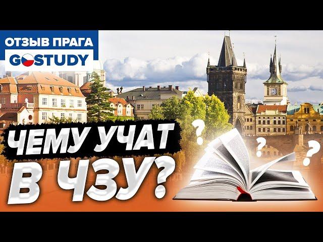 Опоковани- чешский академ. Отзыв о языковой школе Go Study (Гоустади)