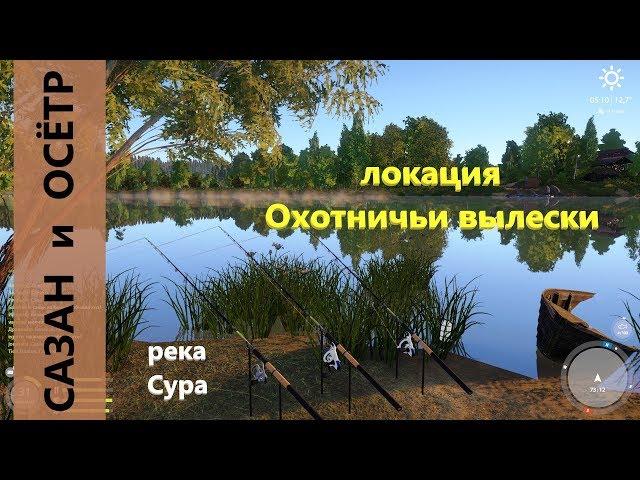 Русская рыбалка 4 - река Сура - Сазан и осётр напротив пристани