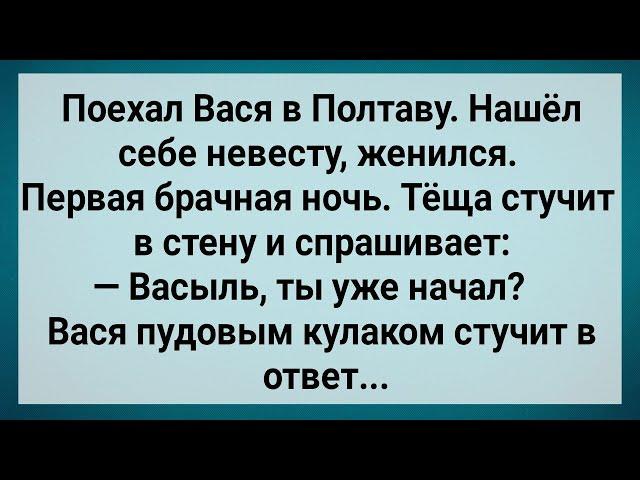 Как Вася в Полтаве Женился! Сборник Свежих Анекдотов! Юмор!