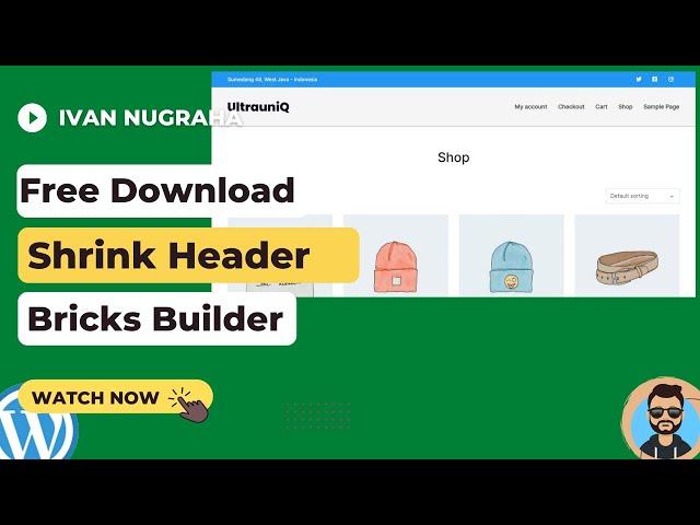 Bricks Builder: Simple Shrink Header