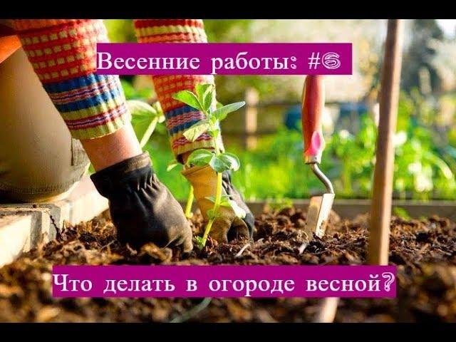 Весенние работы: #6 Что делать в огороде весной? Проращивание, мульчирование и прочие секреты