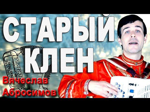 Старый клен под баян - поет Вячеслав Абросимов