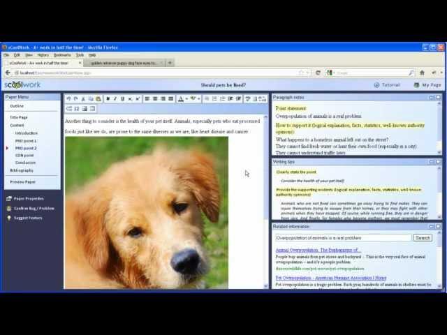 Advanced Editing - How to copy / paste an image on Firefox