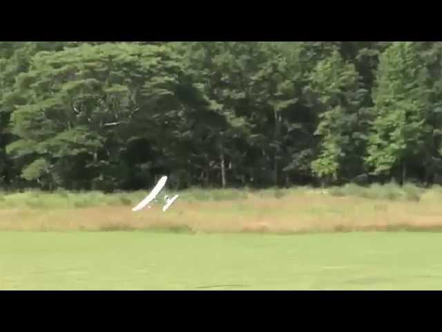 Wing Dragon 300 Rc Airplane Trainer