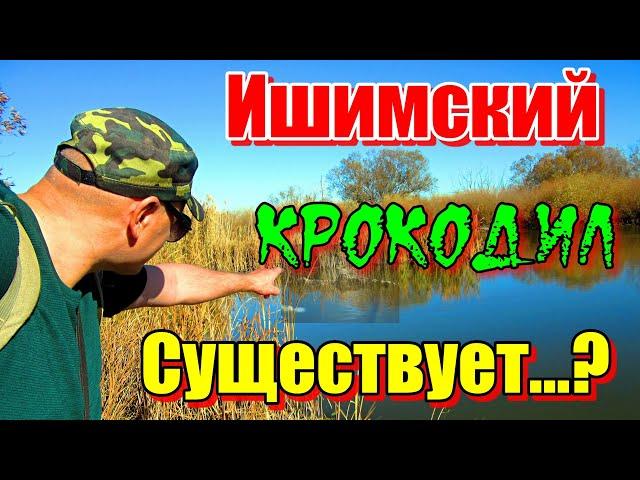 ИШИМСКИЙ КРОКОДИЛ, СУЩЕСТВУЕТ...? Рыбалка река Ишим 2023. #рыбалка #река #щука #крокодил