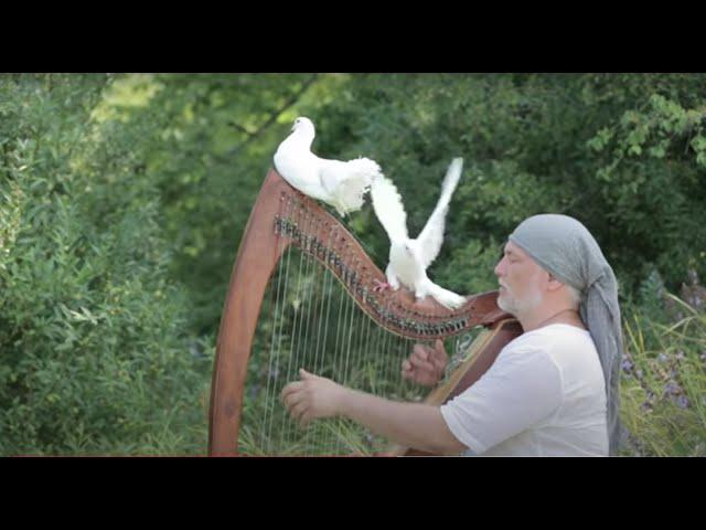 Alizbar/ Celtic harp/ Under white wings / Last fallen leaf / Кельтская арфа/ Relax Music /Meditation