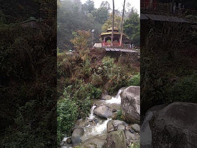 flow.   #sikkim #banjakri #gangtok #chinese #indian #solo #travel #temple