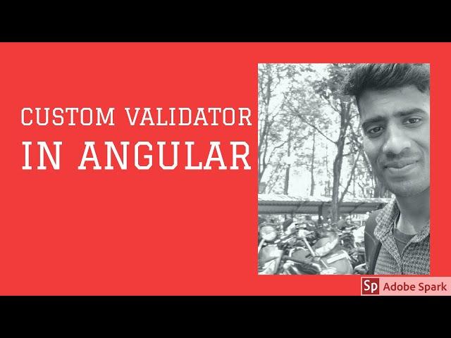 Custom Validator in angular