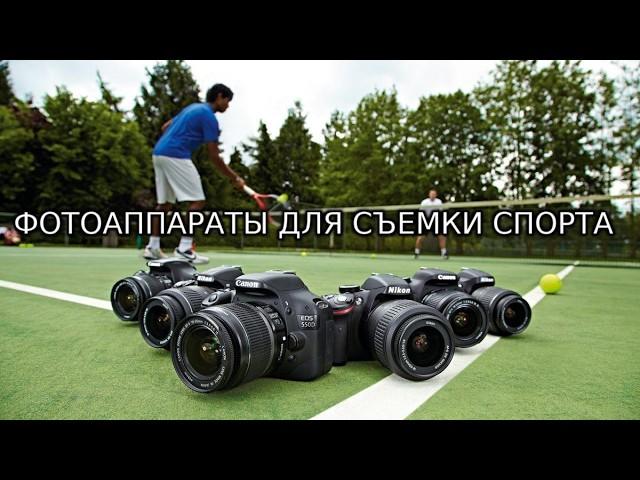 ТОП-5: Лучшие фотоаппараты для съемки спортивных событий 2025