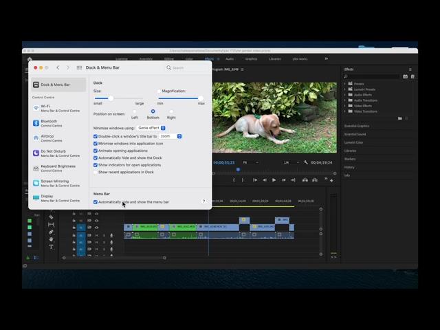 How to run Adobe Premiere Pro in Apple macbook in Full screen