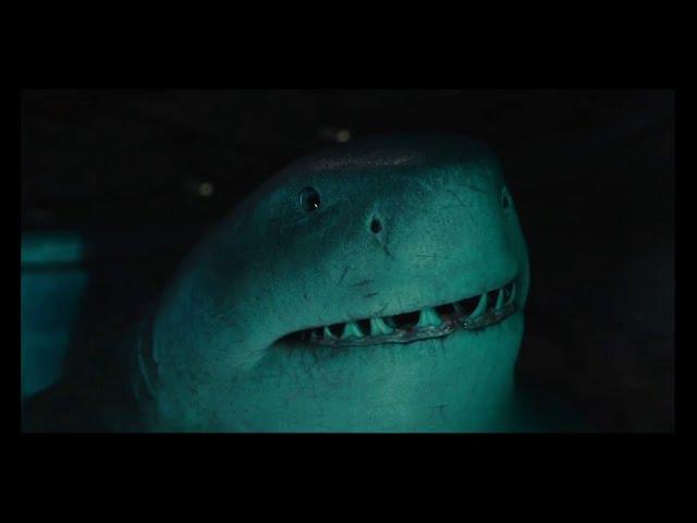 Nanaue meet new dumb friend | King Shark #SuicideSquad