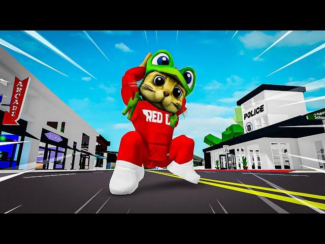 Стал РЕД КЕТОМ в Брукхейвен РП Роблокс! Притворился RedCat в Brookhaven RP Roblox