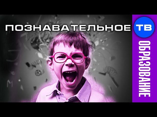 Школа УНИЧТОЖАЕТ мальчиков (Познавательное ТВ, Владимир Базарный)