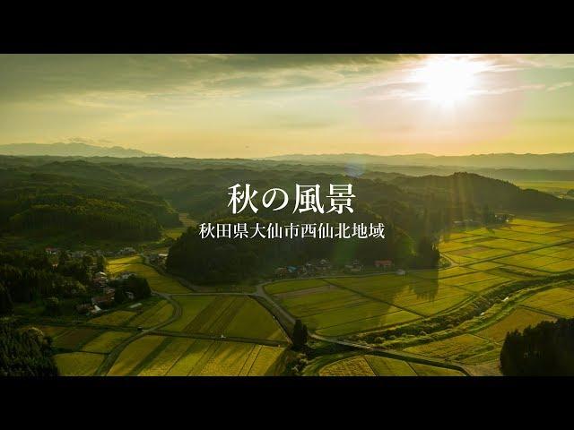 【秋の風景】秋田県大仙市西仙北地域  [Autumn scenery] Nishisenboku area, Daisen City, Akita Japan A73 Mavic2