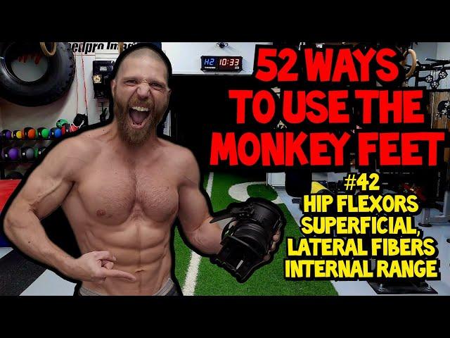 Strengthening Exercise for the HIP FLEXORS | 52 Ways to Use the MONKEYFEET: Rectus Femoris Muscle