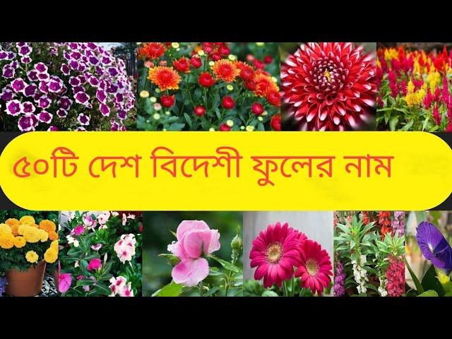 ৫০ টি দেশ বিদেশী ফুলের নাম।।flowers names ||