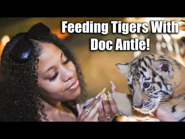 Eazy-E's Daughter Feeds Tigers with Doc Antle | Myrtle Beach Safari