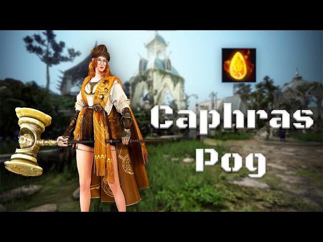 So Many Caphras To Go! | Black Desert Ironman