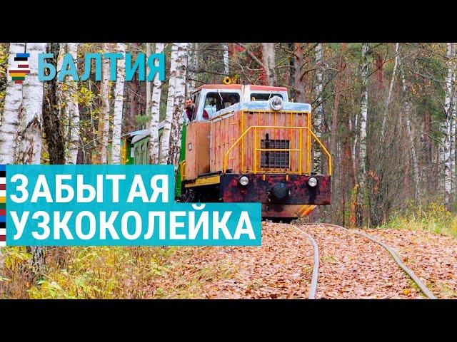 Забытая узкоколейка | БАЛТИЯ