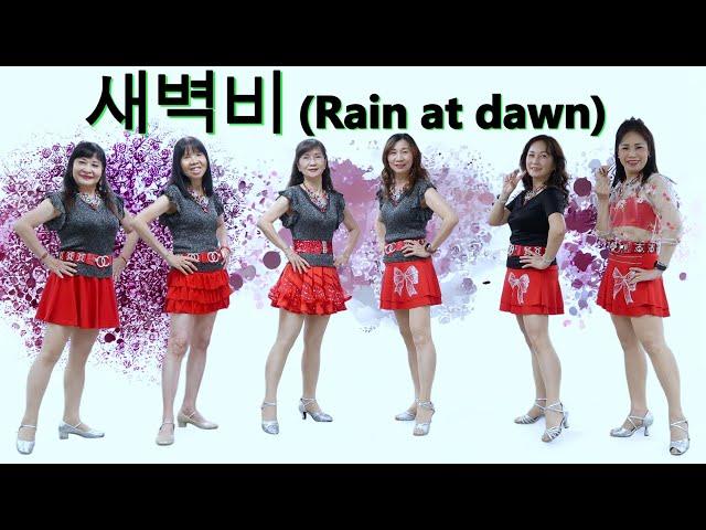 새벽비(Rain at dawn) Line Dance/Eunhee Yoon April 2025