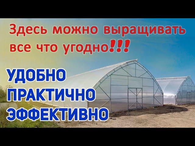 как делается Фермерская теплица под пленку 10х50 с верхним проветриванием