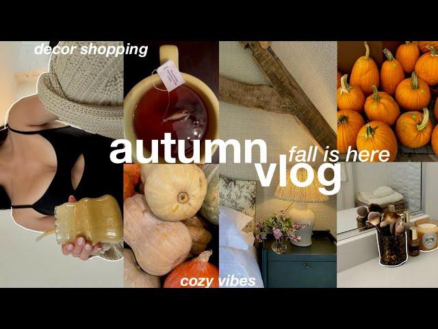 FALL IS HERE️ cozy autumn home vlog + fall decor shopping 2024 & seasonal recipes