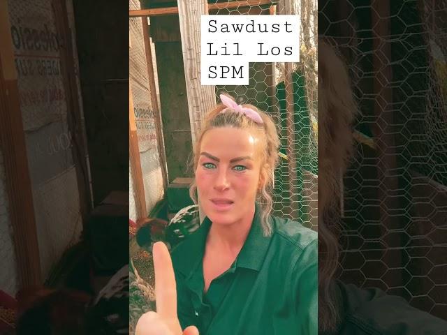 Sawdust @lil Los @dopehouserecords #sawdust #yapa #freespm #screwston #southparkmexican #rooster