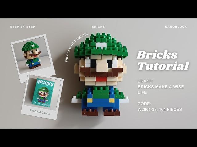 How to Build Luigi (Green Mario) Building Blocks | Bricks Make a Wise Life 038 Tutorial | Mini Brick