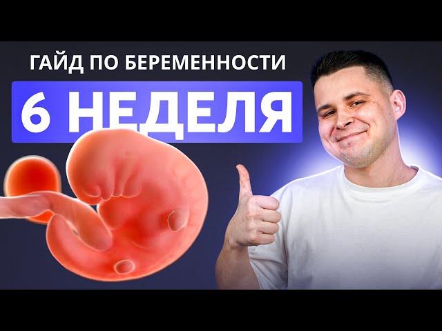 6 НЕДЕЛЯ БЕРЕМЕННОСТИ | Беременность по неделям с доктором Ченчак