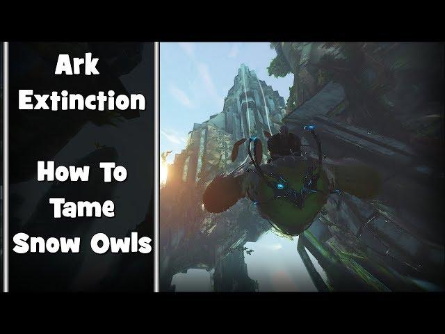 Ark | Extinction - How to Tame Snow Owls & Why You Need Them in Your Life