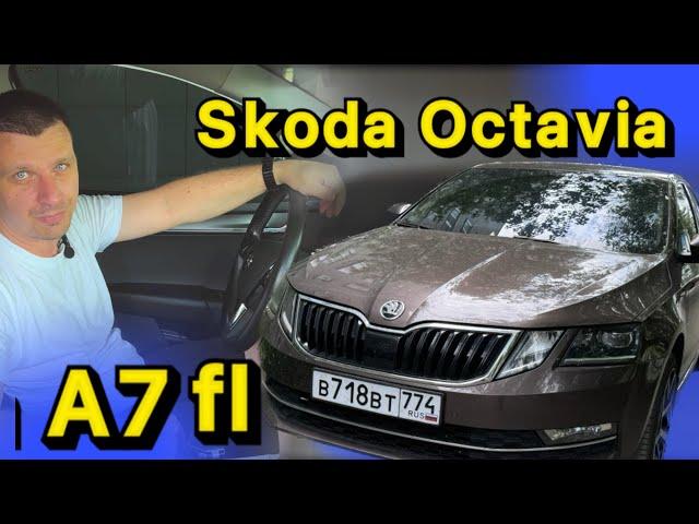 Можно ли купить живую Skoda Octavia A7fl в 2024 году?