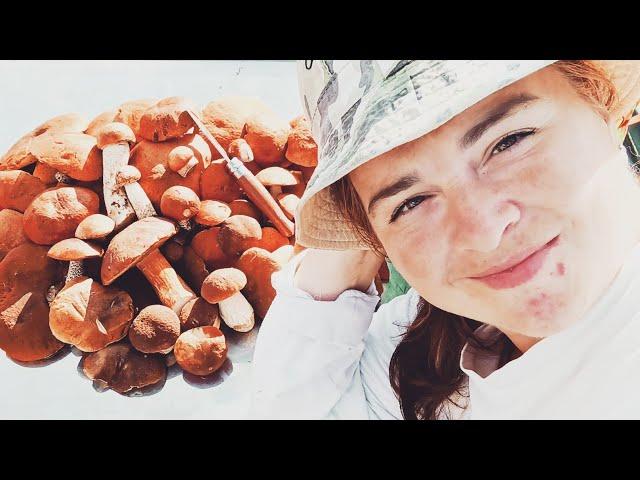 Вот это грибалка! Как в сказку попала
