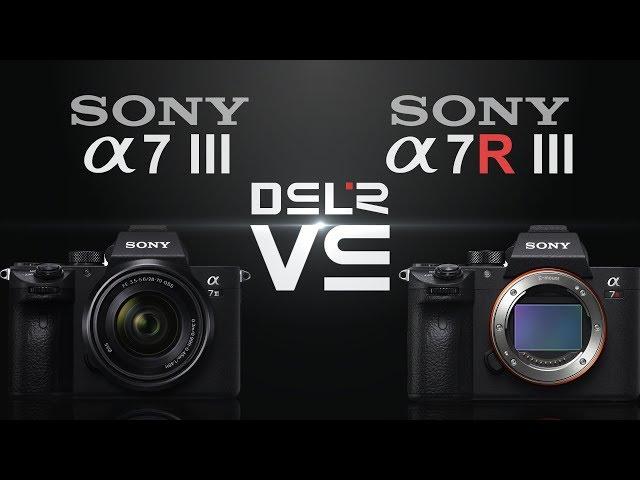 Sony alpha a7 III vs Sony alpha a7R III