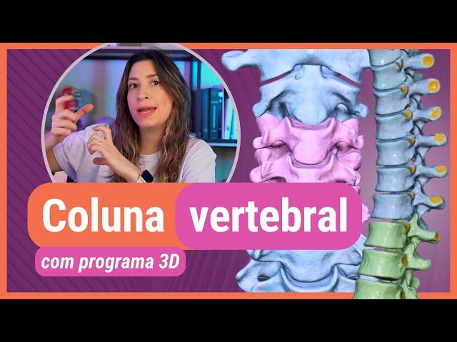 COLUNA VERTEBRAL! Com programa 3D