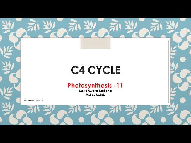 C4 (Hatch and Slack) pathway in Plants -11