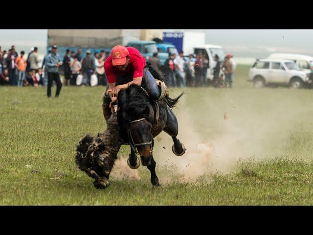 Сух купкари улок Зафар Сафаров 20:11:2022