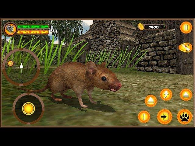 Mouse Simulator - Forest Life Android Gameplay