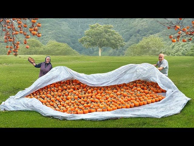 This Village Grows Tons of Persimmons! Harvesting and Drying Fresh Persimmons!