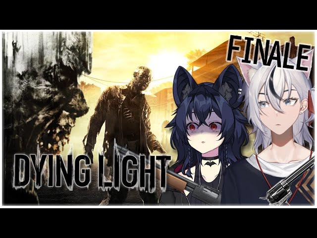 THE FINAL PARKOUR!! We're Going For The BEEF!  [BatCat Streams - Dying Light]