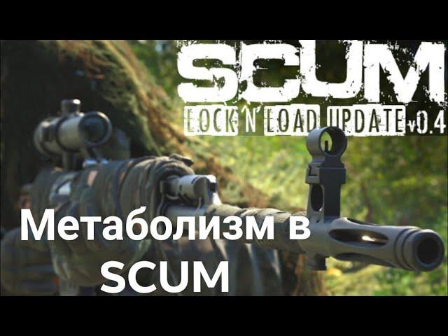 Обзор Метаболизма в игре SCUM (FCTW)