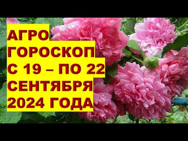 Агрогороскоп с 19 по 22 сентября 2024 года Agrohoroscope from September 19 to September 22, 2024