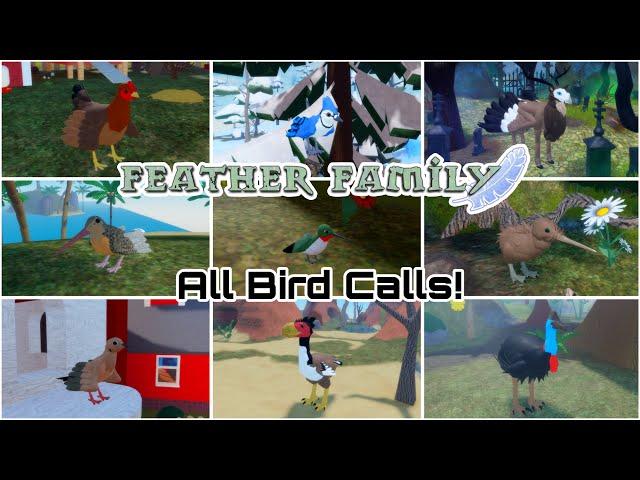 All Feather Family Bird Calls (May 2024)