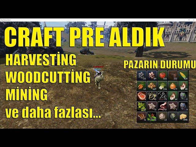 Rise Online Craft Premium Aldık | Pazar Durumu